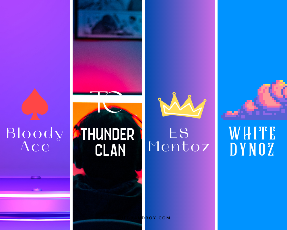 920+ Valorant Team Names And Ideas (Generator + Logos) BrandBoy