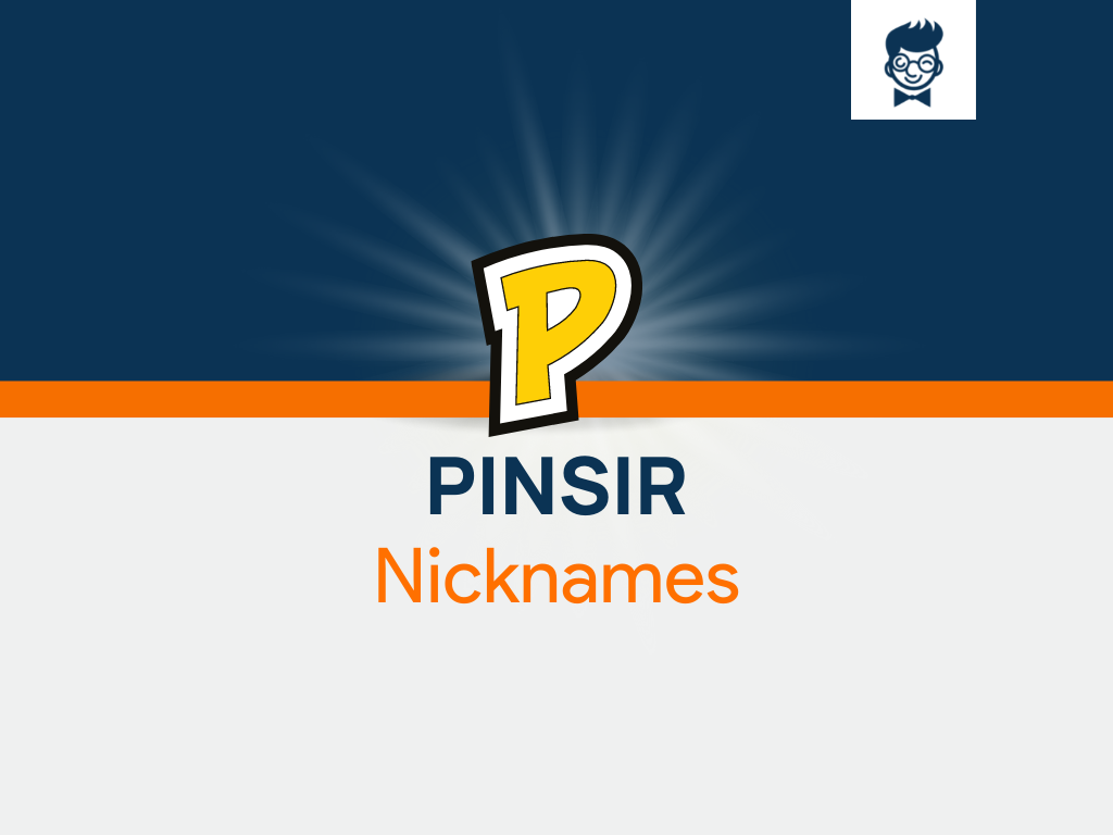 Pinsir Nicknames 535+ Cool and Catchy Names BrandBoy