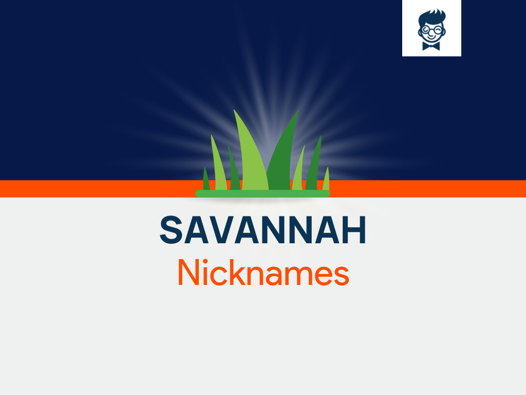 Savannah Nicknames 540 Cool And Catchy Names BrandBoy