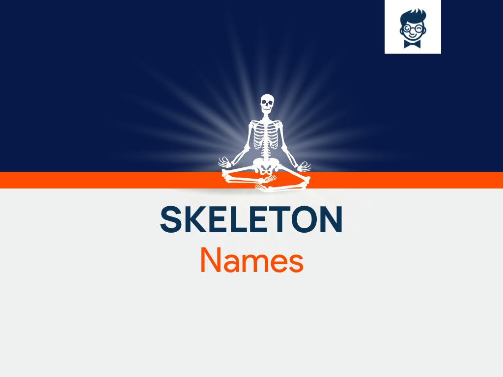 Skeleton Names: 630+ Catchy and Cool Names
