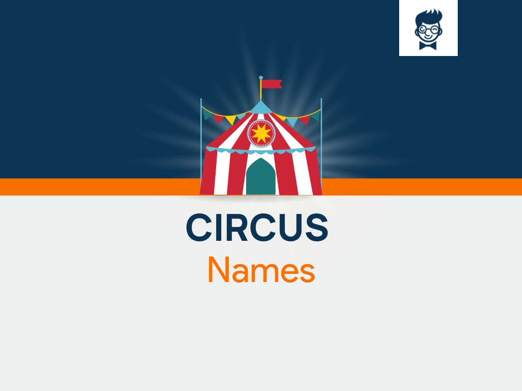 665 Circus Names Full Of Wonder And Excitement BrandBoy