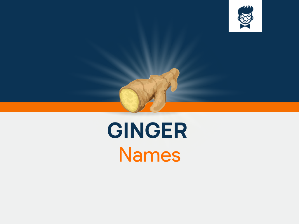 ginger-names-600-catchy-and-cool-names-brandboy