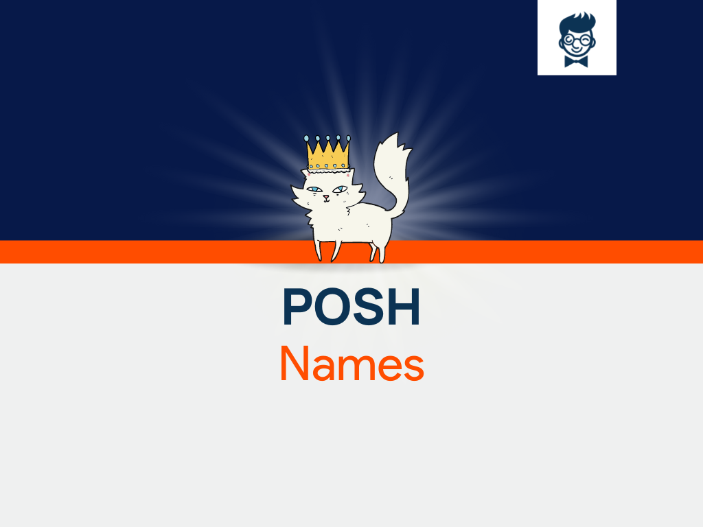 Posh Names 555 Catchy And Cool Names BrandBoy