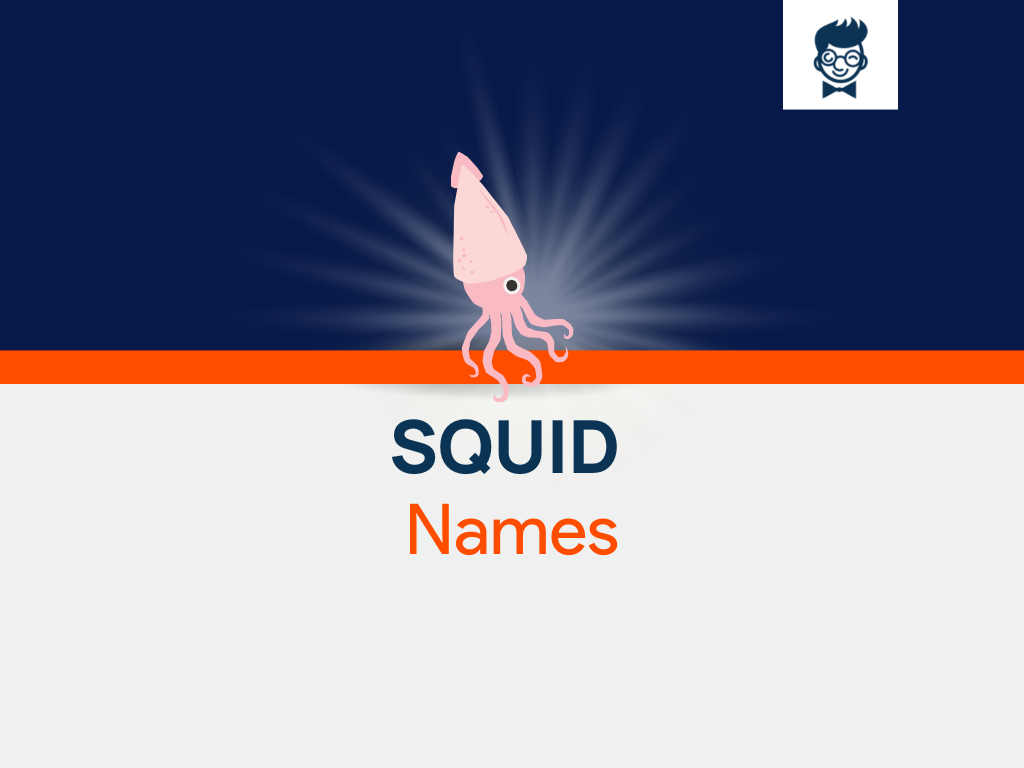 630-unique-squid-names-inspired-by-the-depths-of-the-ocean-brandboy