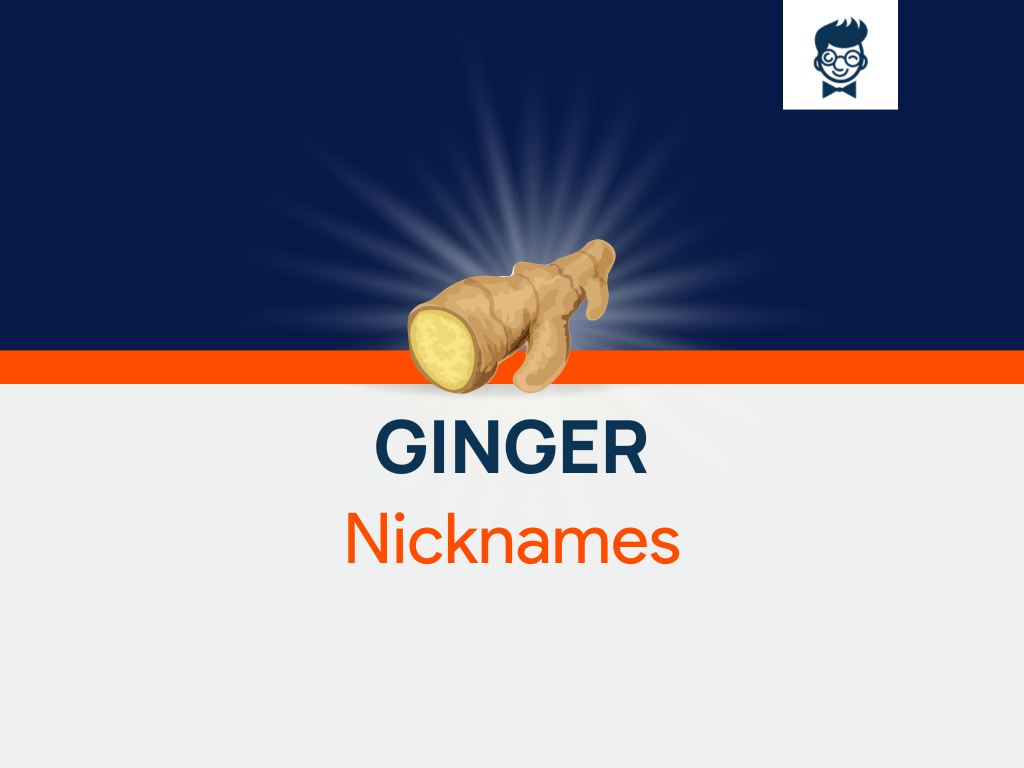 Ginger Nicknames 535 Catchy And Cool Nicknames BrandBoy