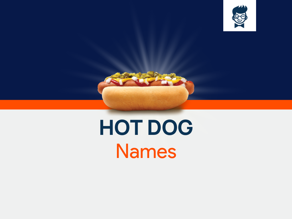 1120 Cool Hot Dog Business Names Ideas Generator Video 