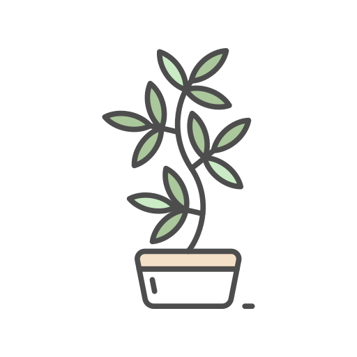 List Of Aesthetic Plant Names Collection (Generator) - BrandBoy