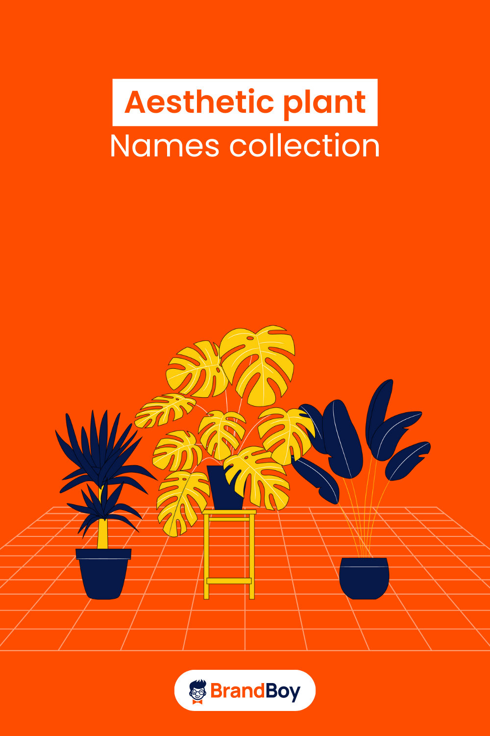 List Of Aesthetic Plant Names Collection (Generator) - BrandBoy