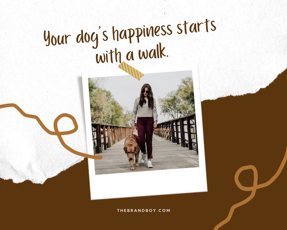 470+ Catchy Dog Walking Slogans And Taglines (generator + guide) BrandBoy
