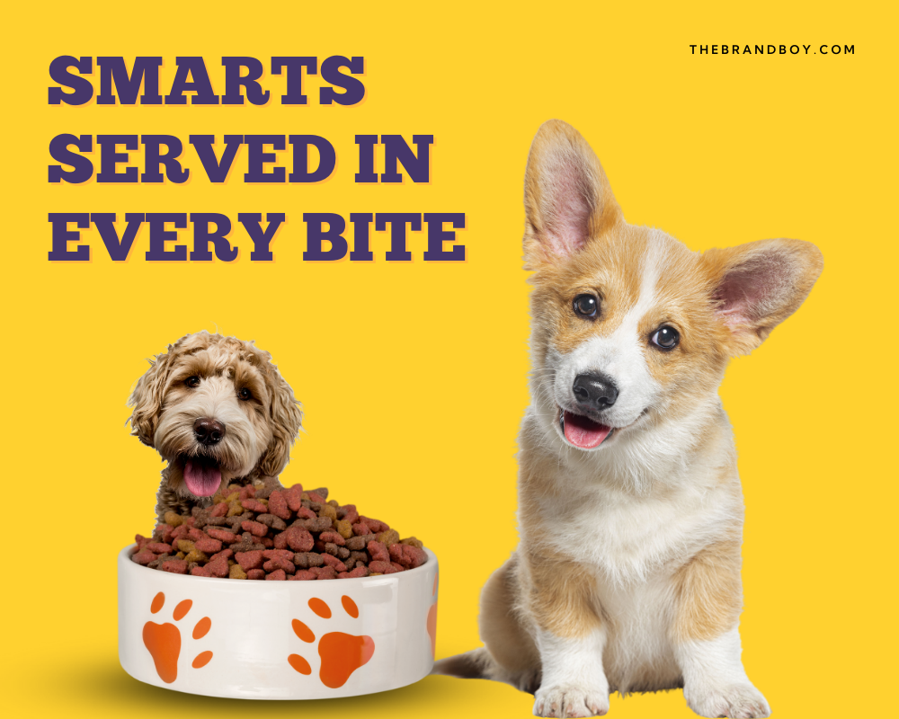 855 Catchy Pet Food Slogans And Taglines Generator Guide BrandBoy