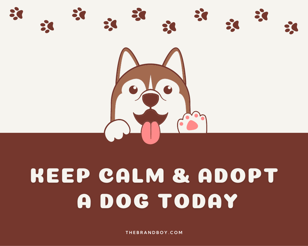 345+ Catchy Pet Adoption Slogans, Sayings, And Phrases