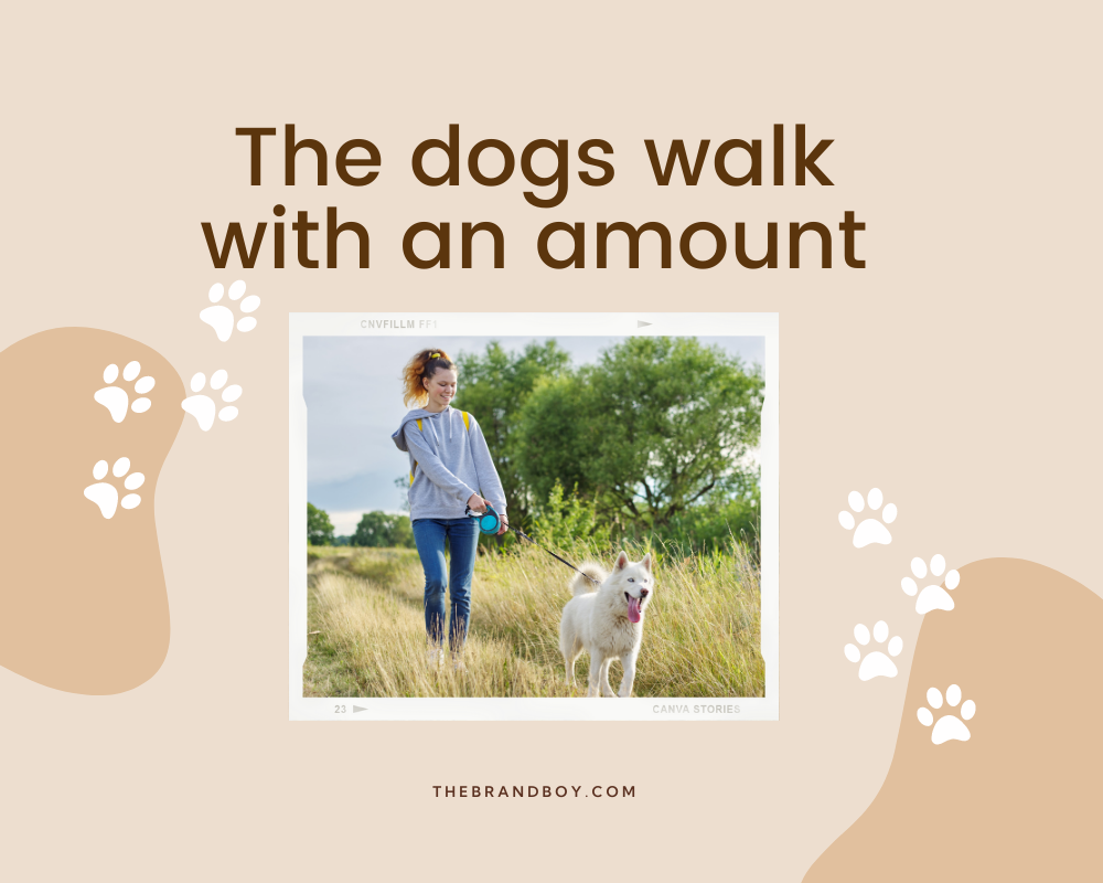 470+ Catchy Dog Walking Slogans And Taglines (generator + guide) BrandBoy