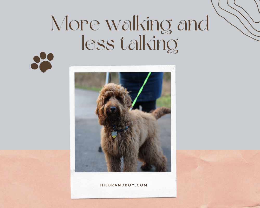 470+ Catchy Dog Walking Slogans And Taglines (generator + guide) BrandBoy