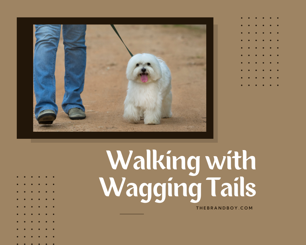 470+ Catchy Dog Walking Slogans And Taglines (generator + guide) BrandBoy