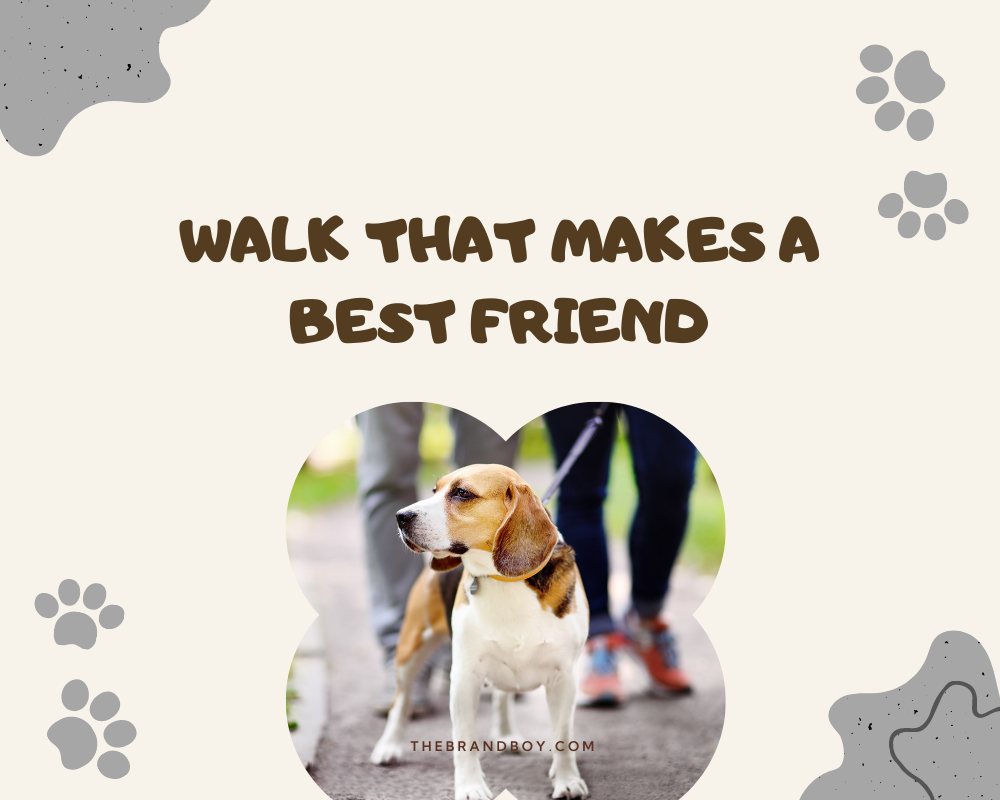 470-catchy-dog-walking-slogans-and-taglines-generator-guide-brandboy