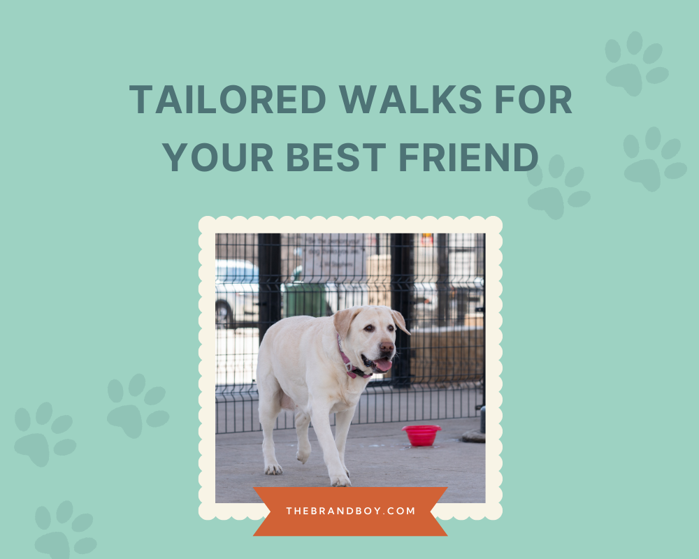 470+ Catchy Dog Walking Slogans And Taglines (generator + guide) BrandBoy