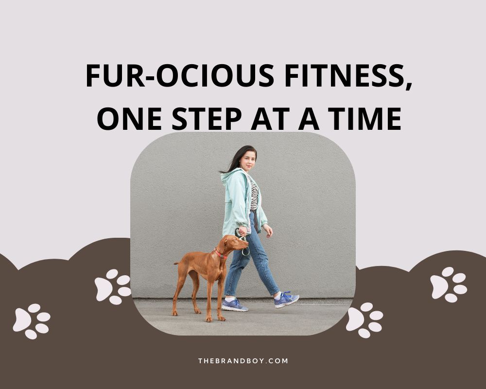 470+ Catchy Dog Walking Slogans And Taglines (generator + guide) BrandBoy