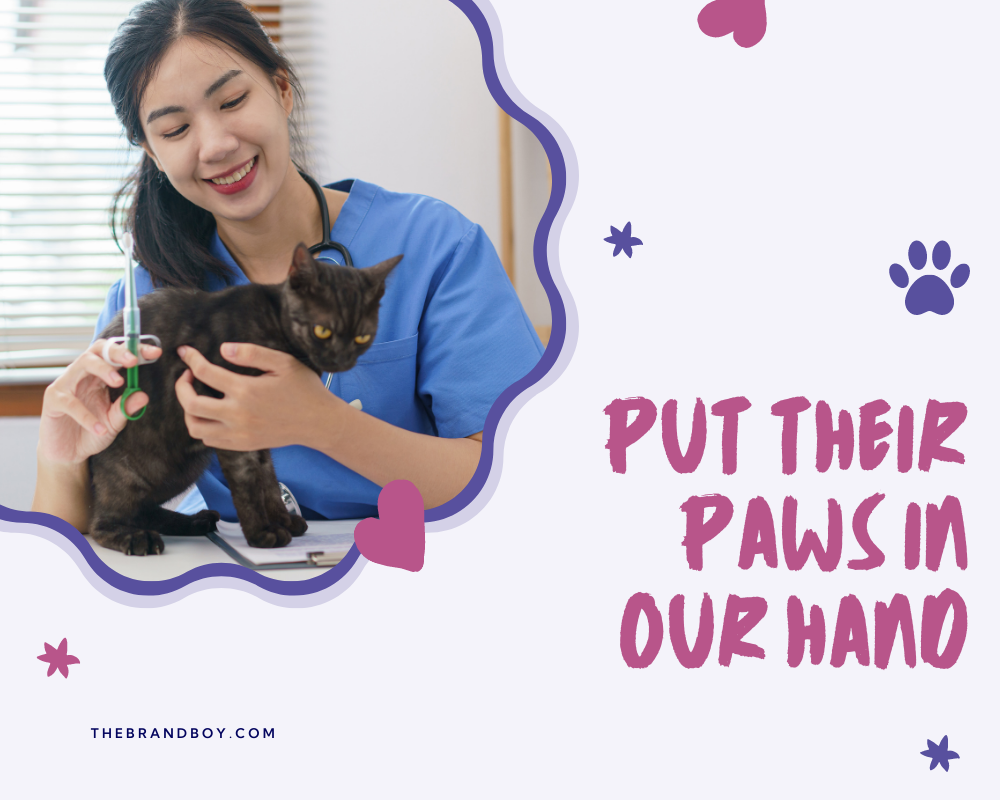 495+ Vet Slogans And Taglines (Generator + Guide) BrandBoy