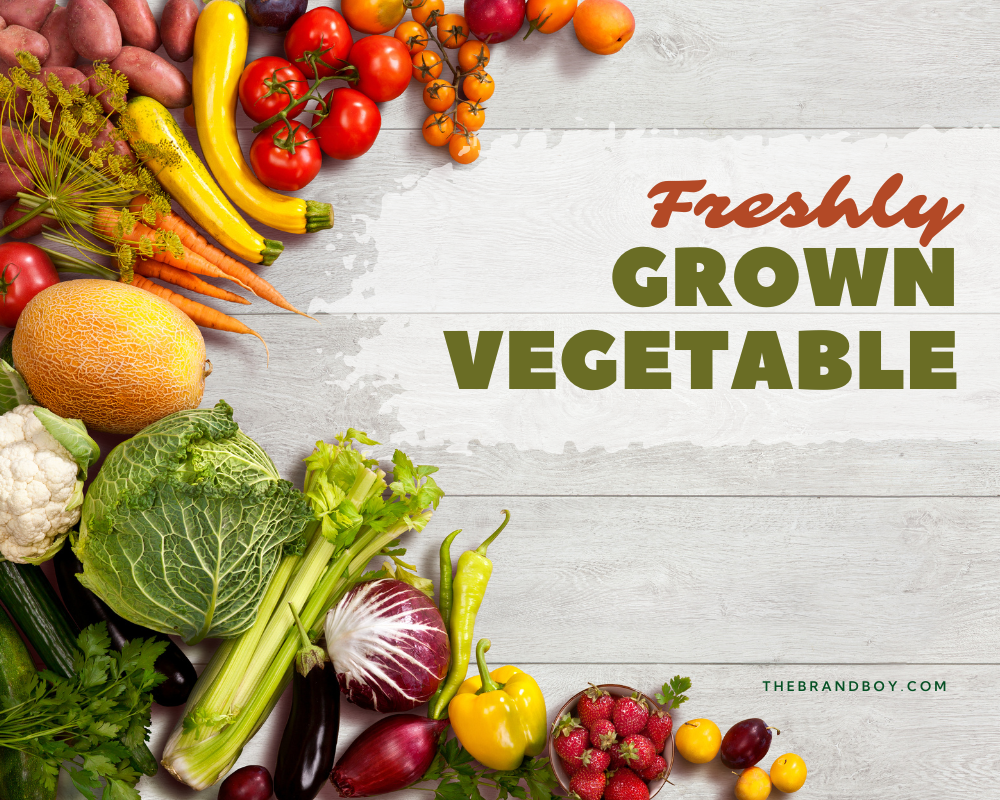 450+ Fruits And Vegetable Slogans And Taglines (generator + Guide