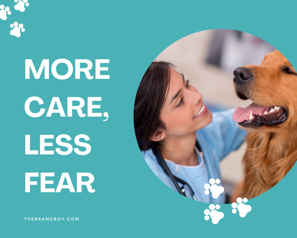 495+ Vet Slogans And Taglines (Generator + Guide) BrandBoy