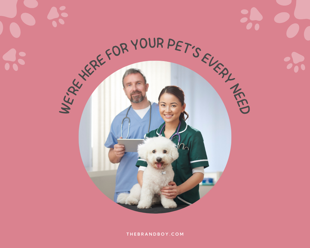 495+ Vet Slogans And Taglines (Generator + Guide) BrandBoy