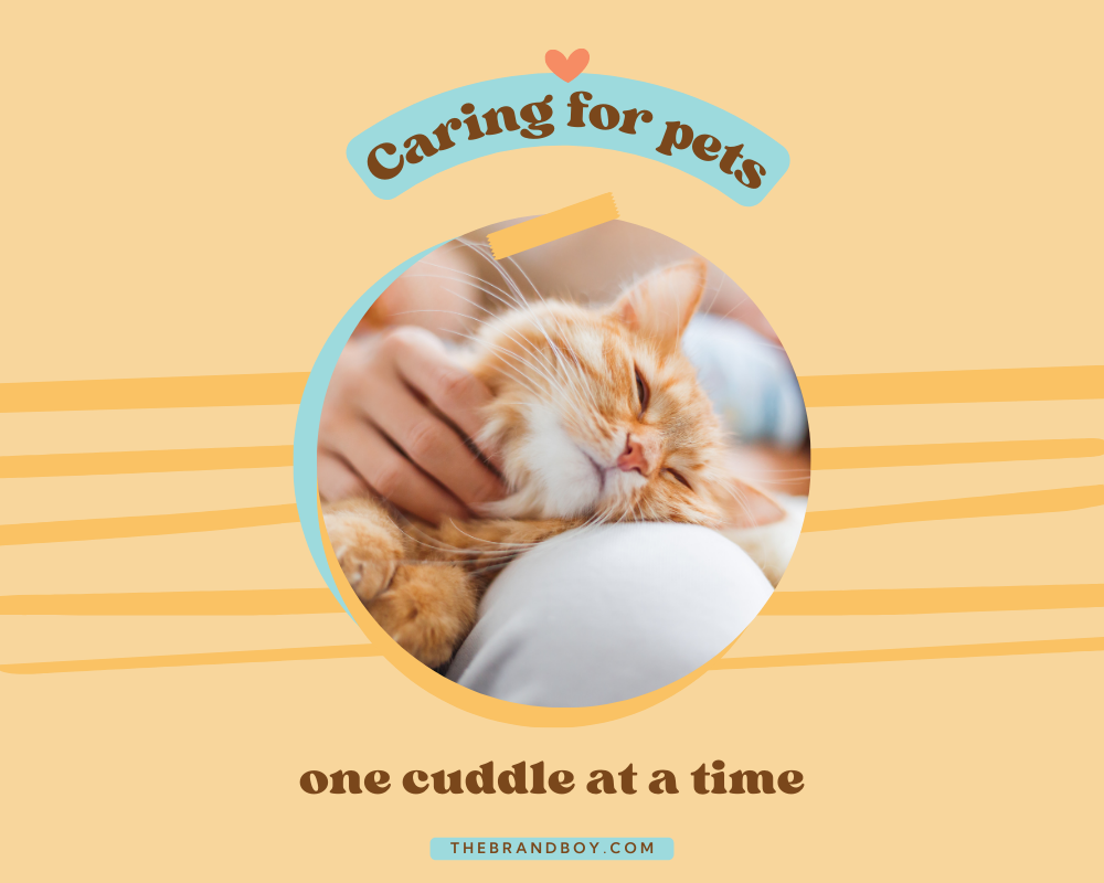 495+ Vet Slogans And Taglines (Generator + Guide) BrandBoy