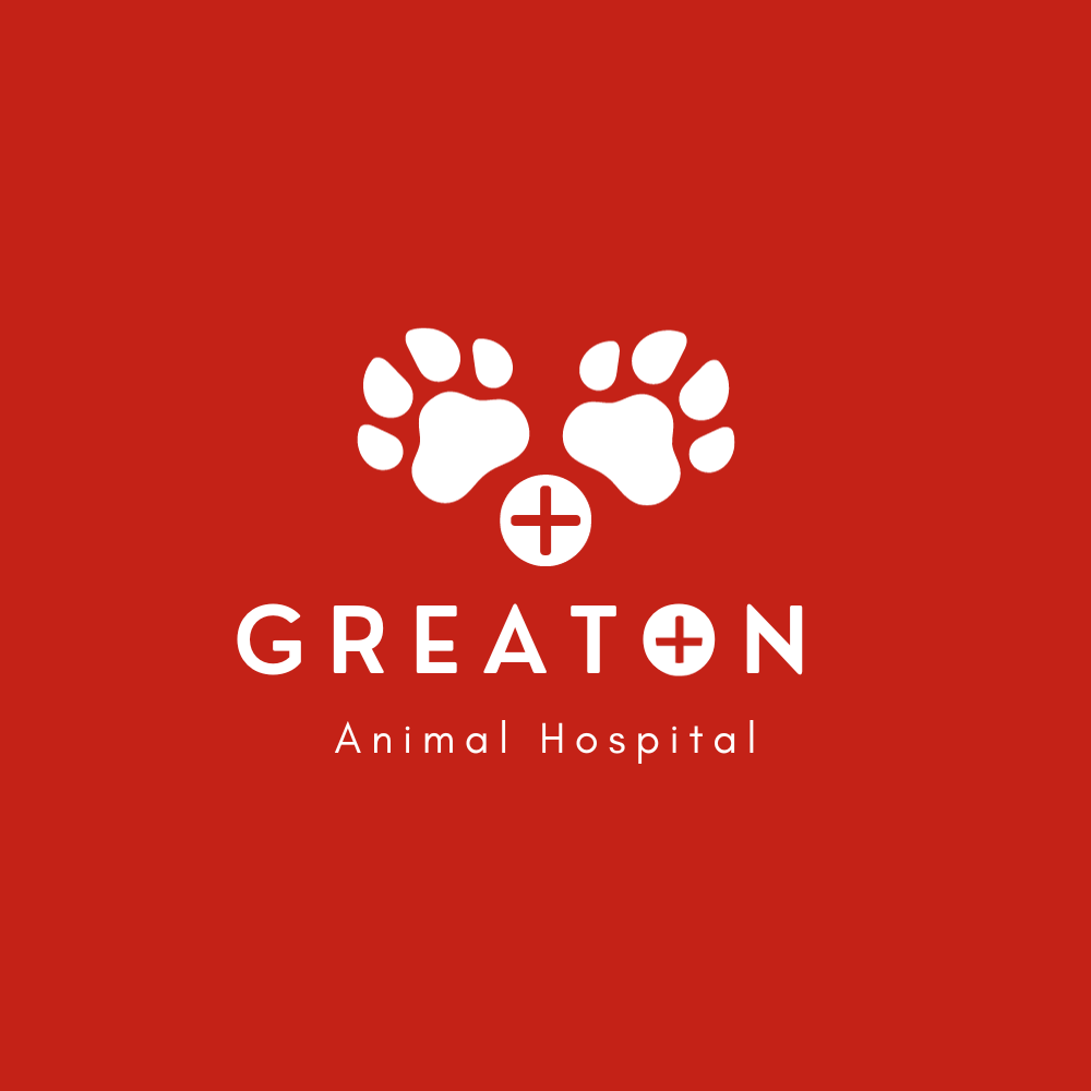 30+ Animal Hospital Logo Ideas That You Can Edit And Download BrandBoy