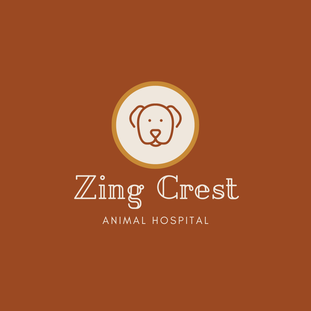 30+ Animal Hospital Logo Ideas That You Can Edit And Download BrandBoy