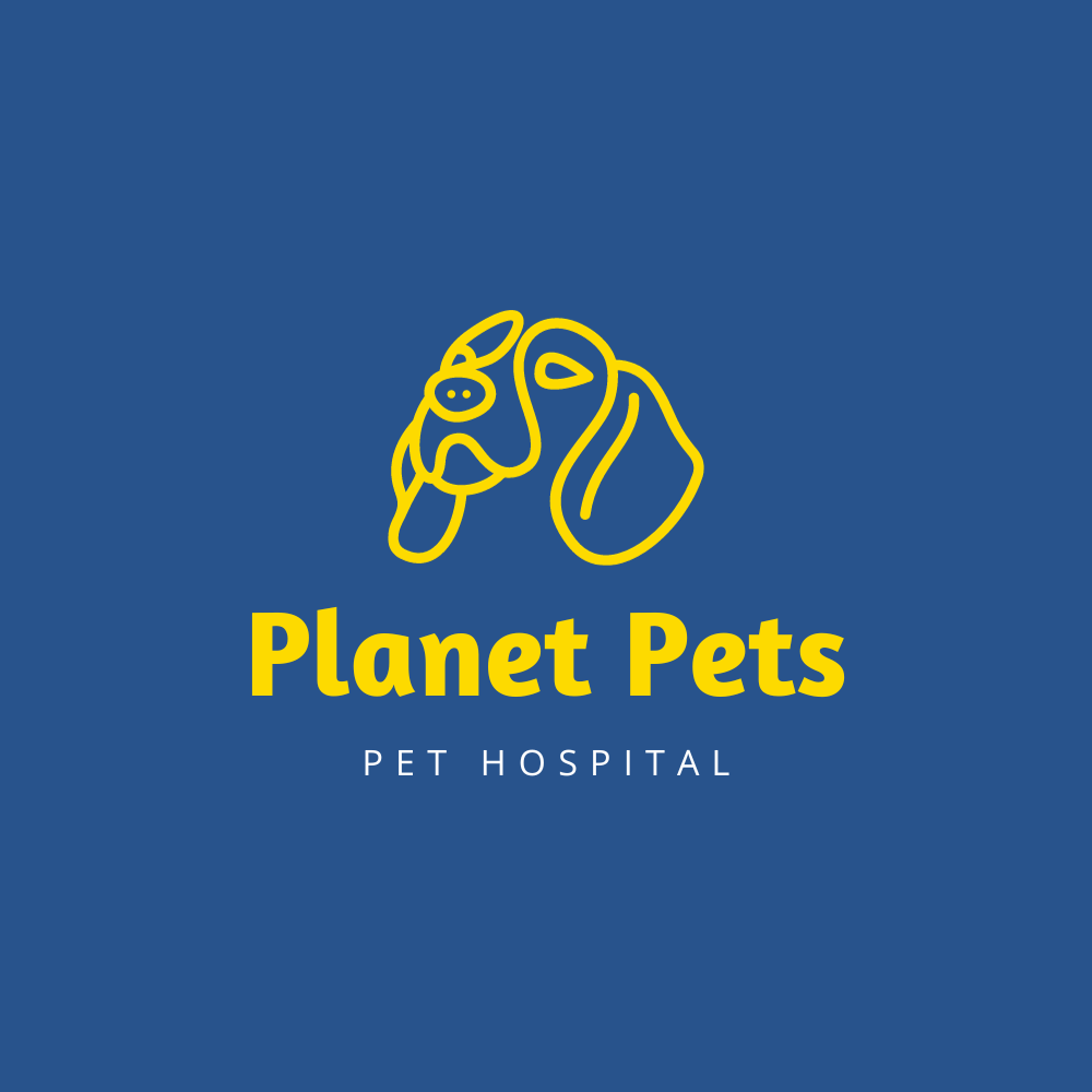 30+ Animal Hospital Logo Ideas That You Can Edit And Download BrandBoy