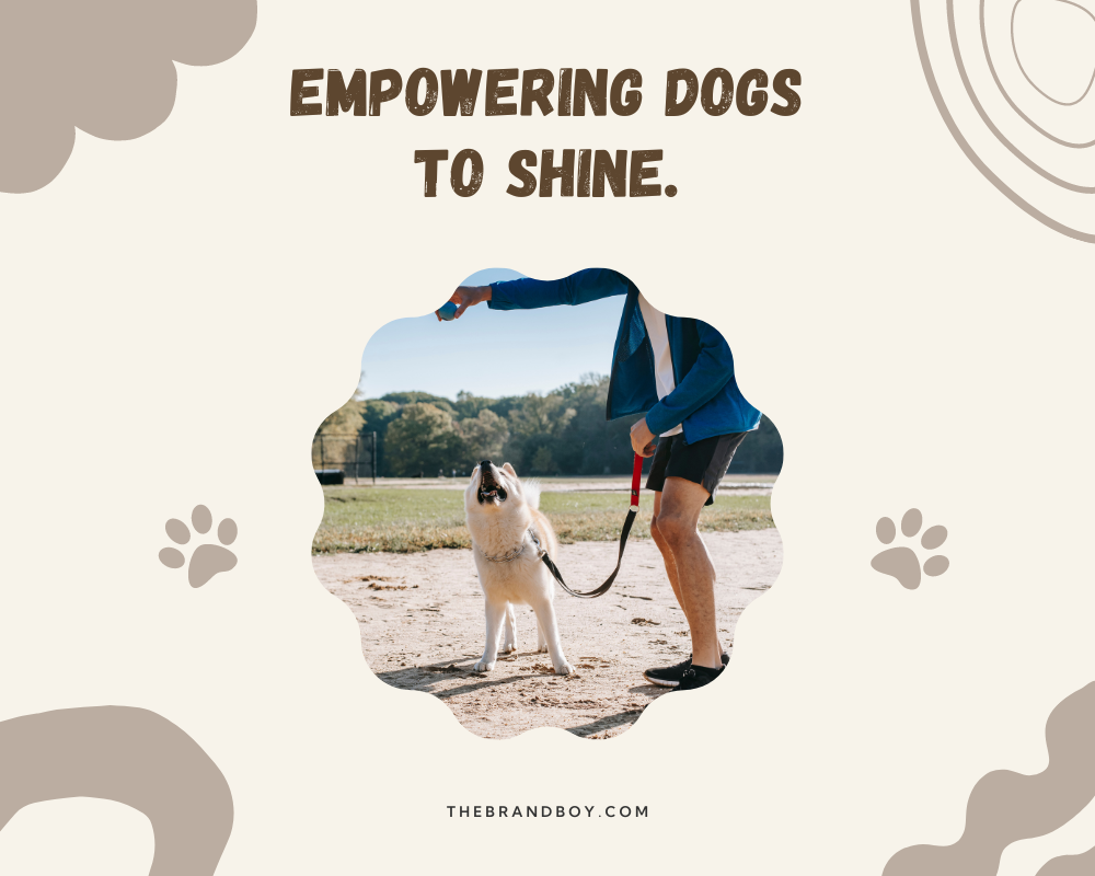 854+ Catchy Dog Training Slogans And Taglines (Generator + Guide) BrandBoy