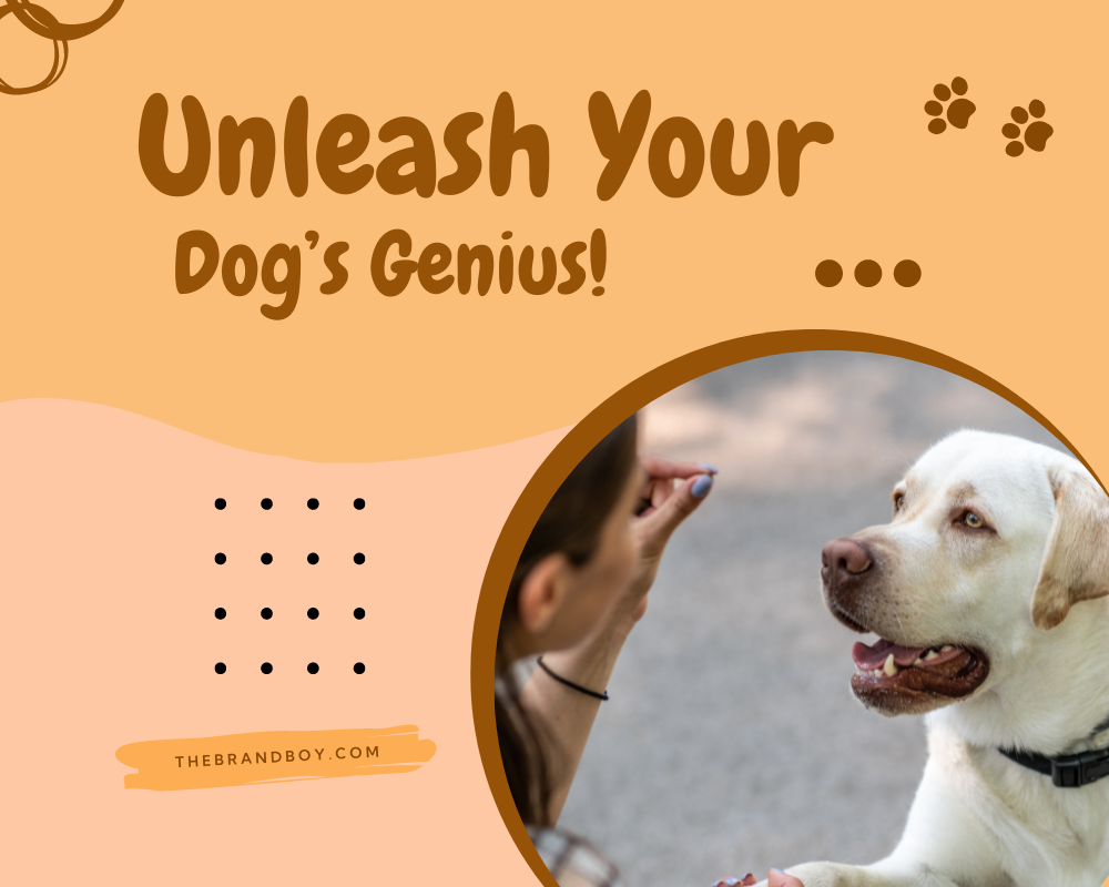 854-catchy-dog-training-slogans-and-taglines-generator-guide