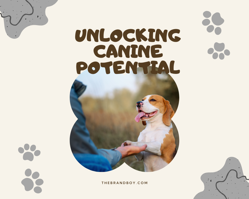 854+ Catchy Dog Training Slogans And Taglines (Generator + Guide) BrandBoy