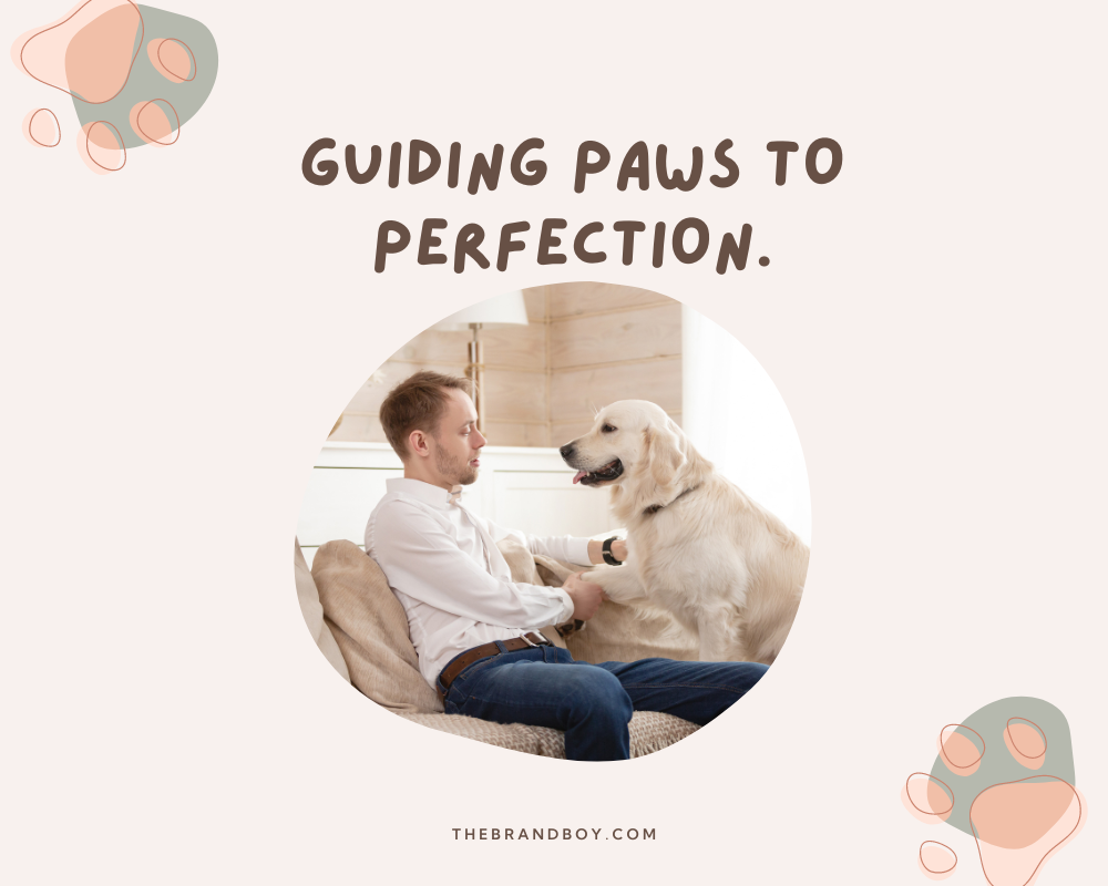 854 Catchy Dog Training Slogans And Taglines Generator Guide 854 Catchy Dog Training Slogans And Taglines Generator Guide