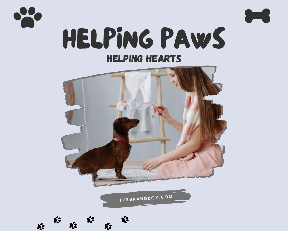 854-catchy-dog-training-slogans-and-taglines-generator-guide
