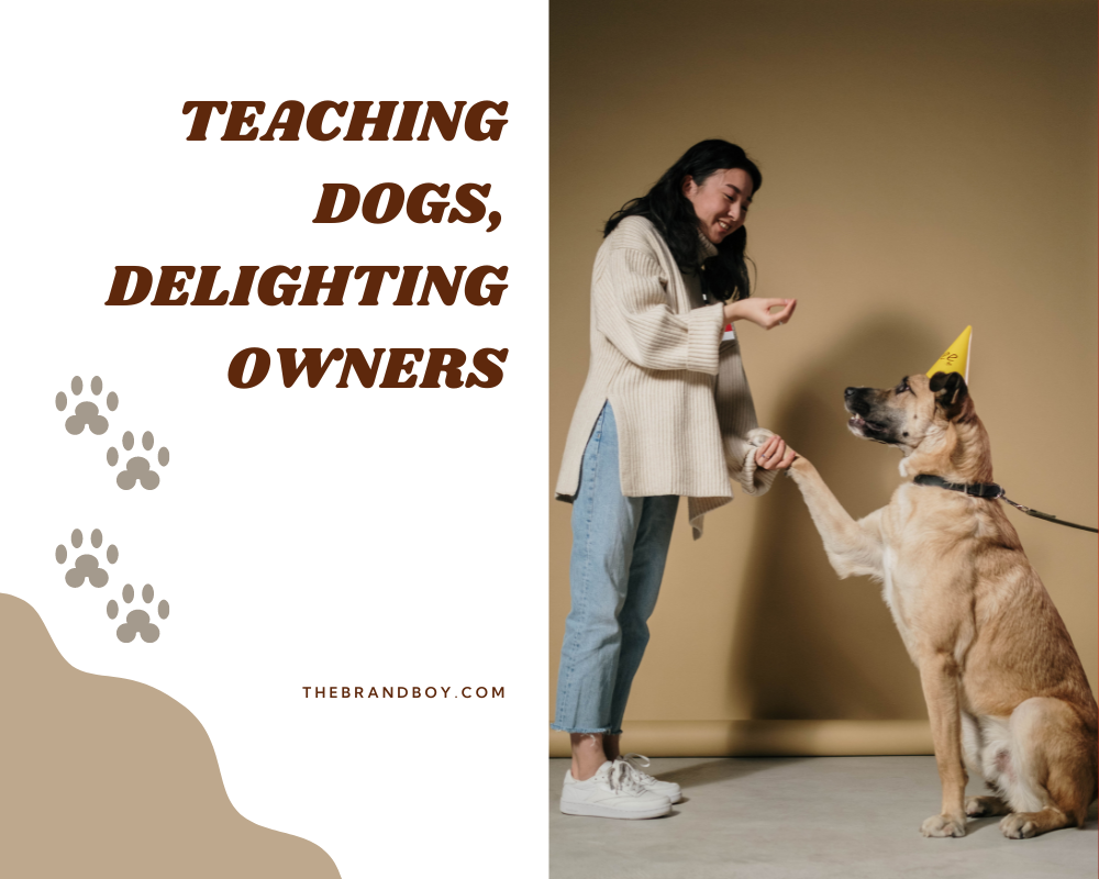 854+ Catchy Dog Training Slogans And Taglines (Generator + Guide) BrandBoy