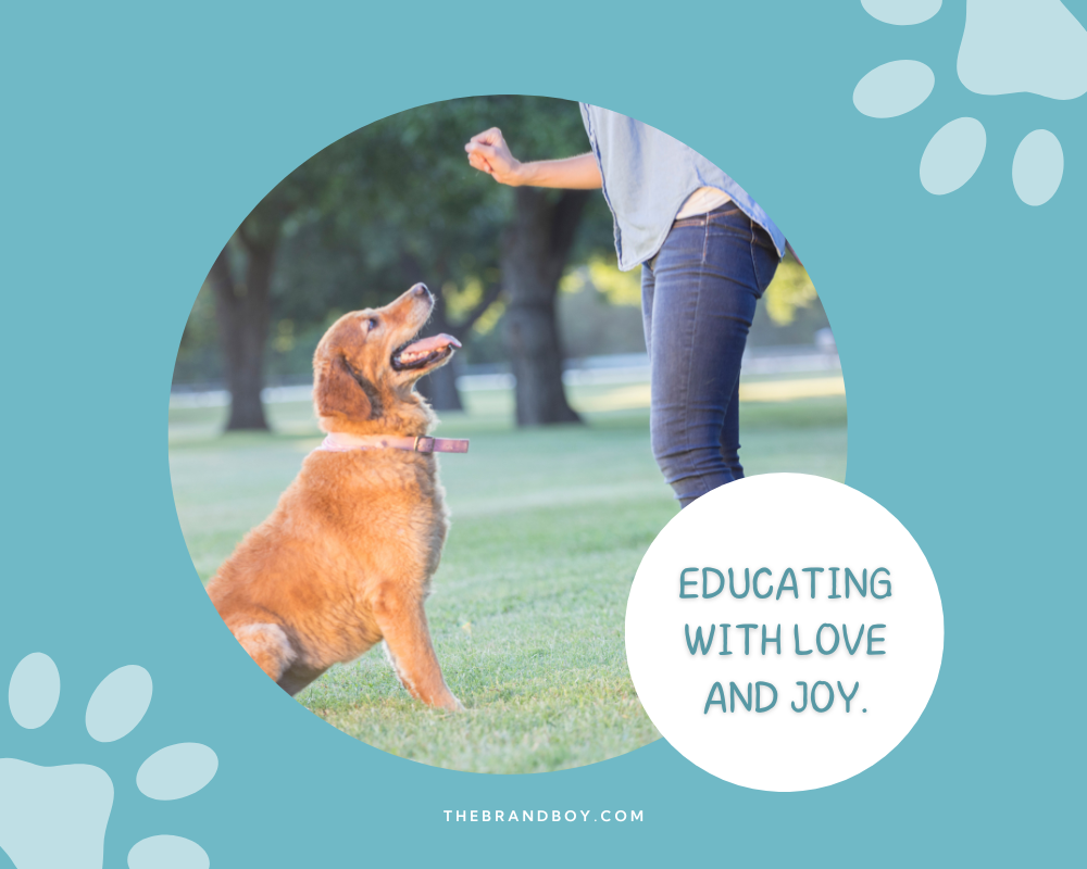 854+ Catchy Dog Training Slogans And Taglines (Generator + Guide) BrandBoy