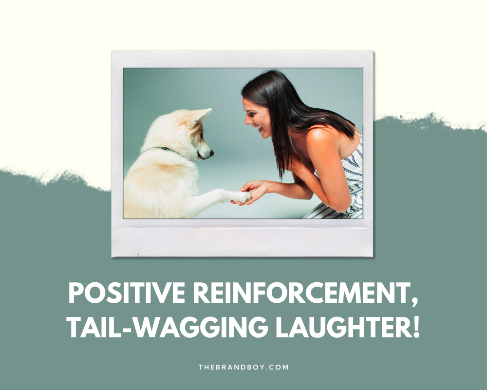 854+ Catchy Dog Training Slogans And Taglines (Generator + Guide) BrandBoy