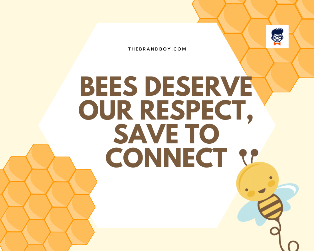 Funny Slogans For Save The Bees