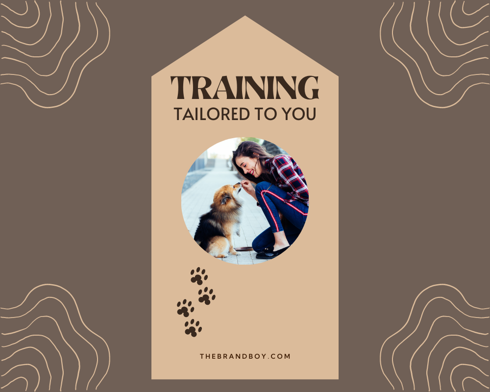 854+ Catchy Dog Training Slogans And Taglines (Generator + Guide) BrandBoy