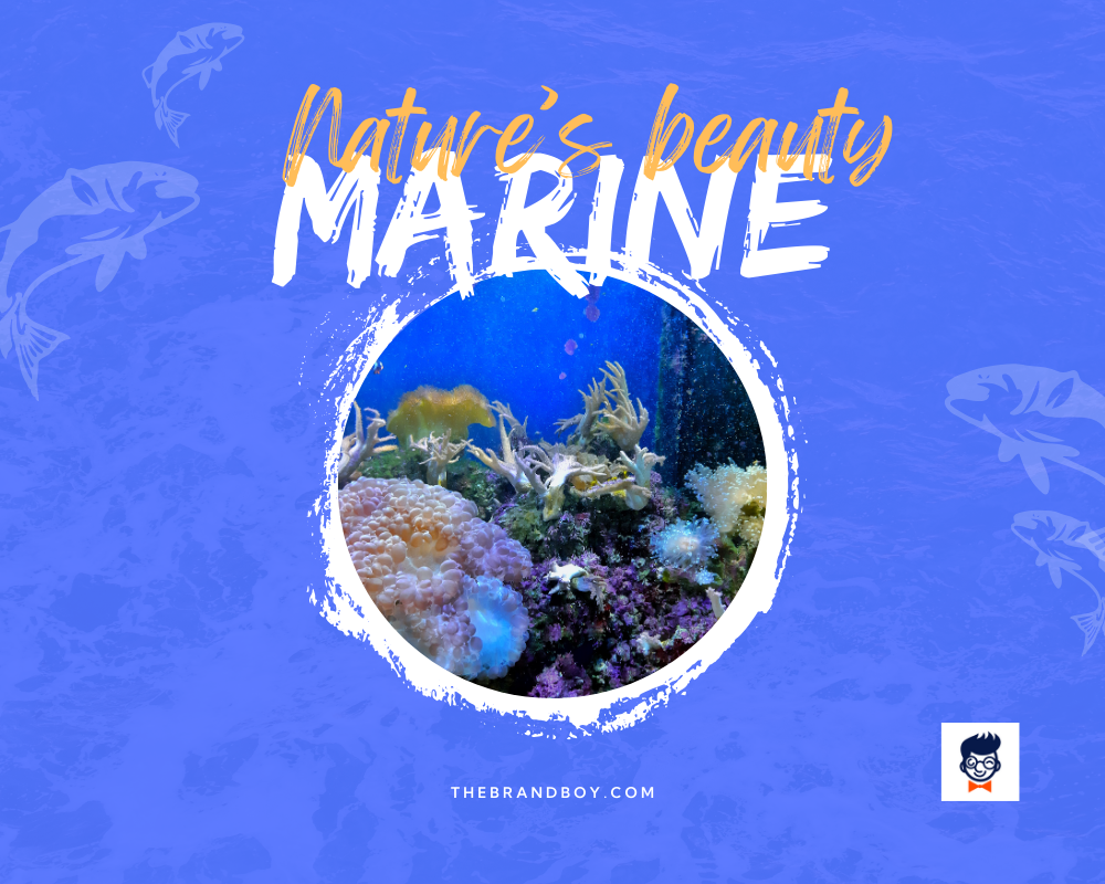 Marine Slogans And Taglines Generator Guide Catchy Ocean Slogans