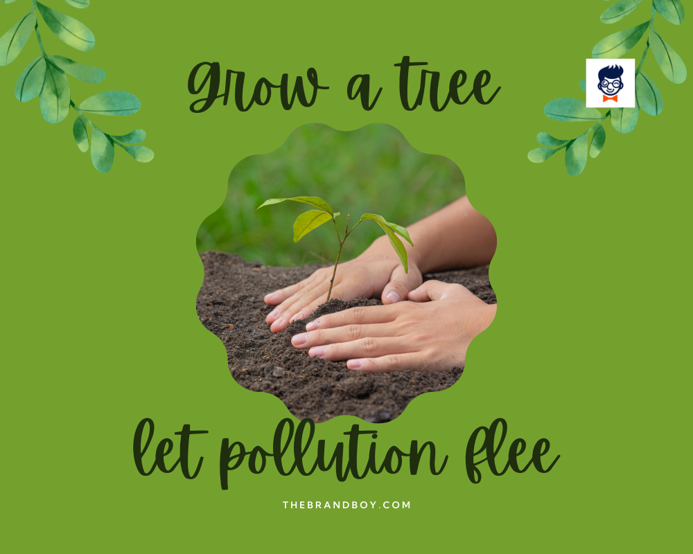 Tagline Tree 103 Best Tree Plantation Slogans Examples β LZJQL