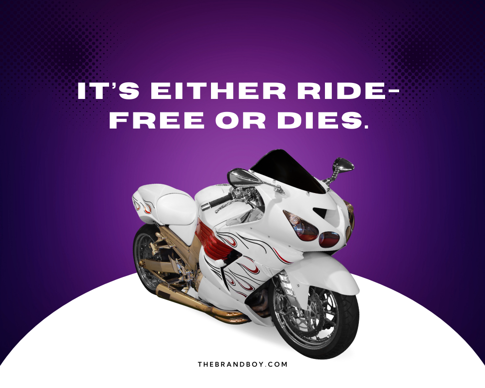 151-crazy-motorcycle-slogans-and-taglines-thebrandboy