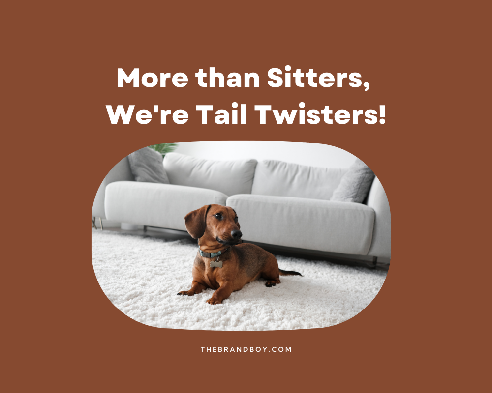 781-catchy-dog-sitting-slogans-and-sayings-generator-guide