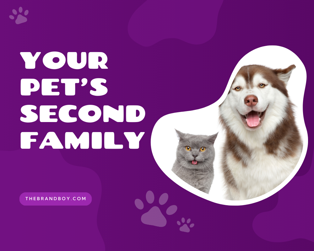 682+ Catchy Pet Sitting Slogans And Taglines thebrandboy