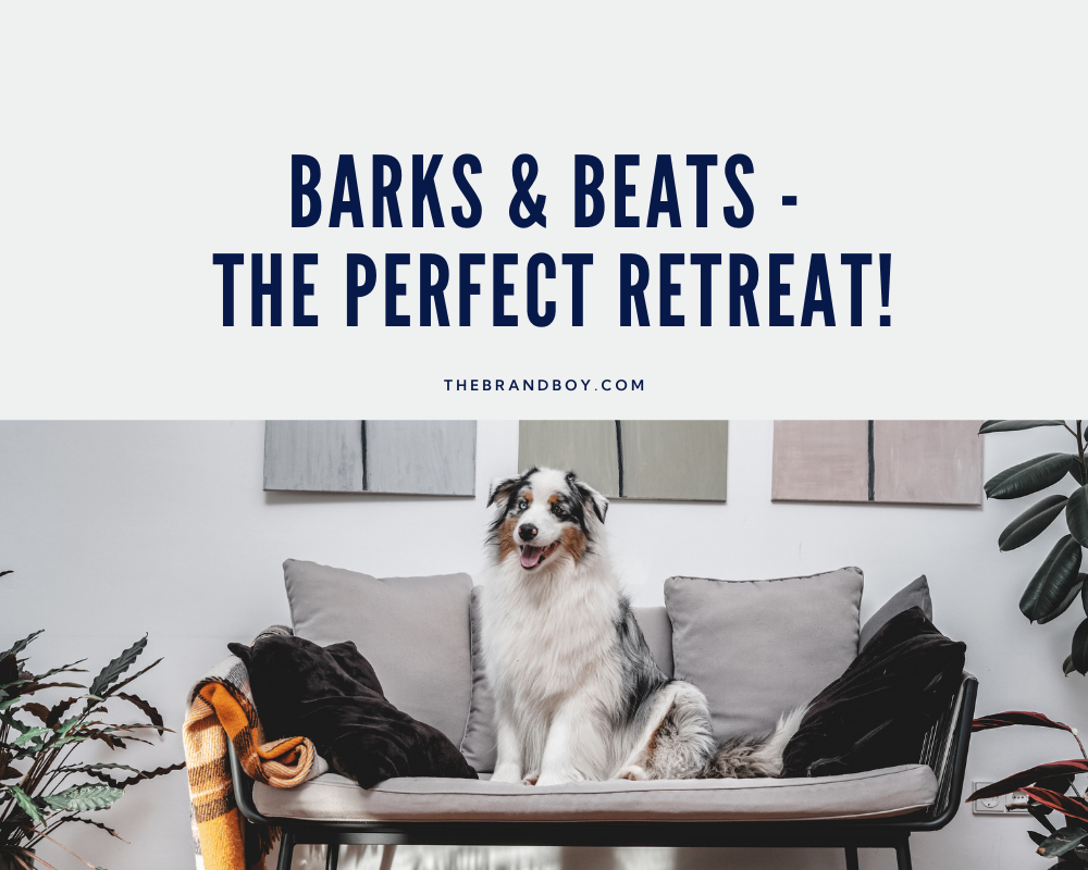 781 Catchy Dog Sitting Slogans And Sayings Generator Guide 781-catchy-dog-sitting-slogans-and-sayings-generator-guide