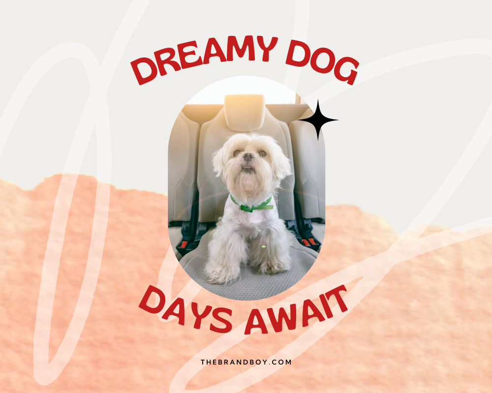 781 Catchy Dog Sitting Slogans And Sayings Generator Guide 781-catchy-dog-sitting-slogans-and-sayings-generator-guide