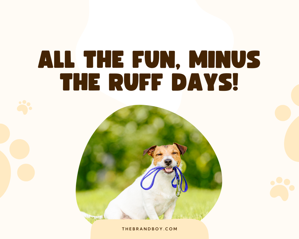 781-catchy-dog-sitting-slogans-and-sayings-generator-guide