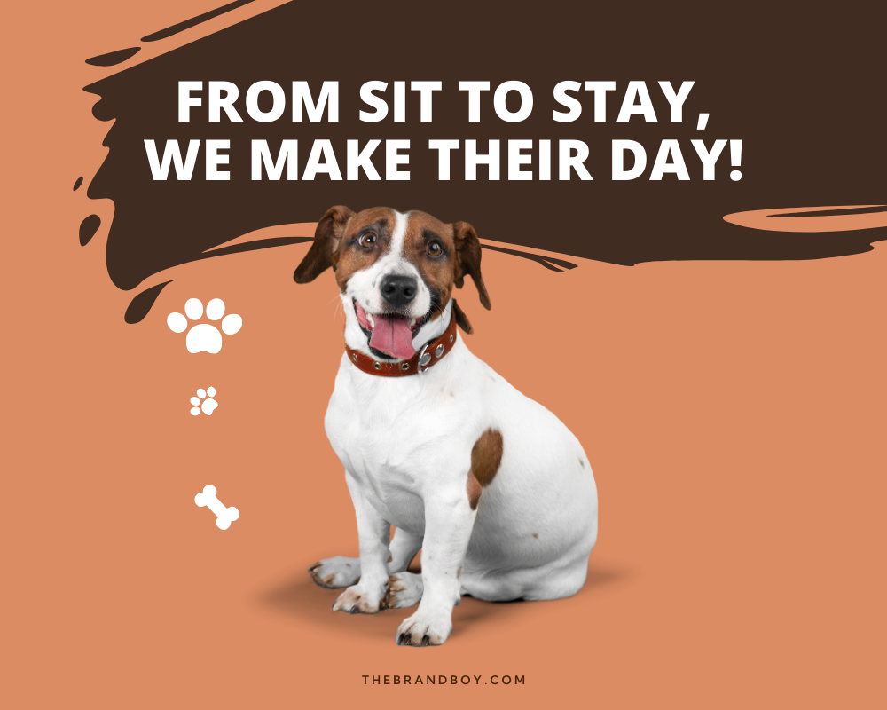 781-catchy-dog-sitting-slogans-and-sayings-generator-guide