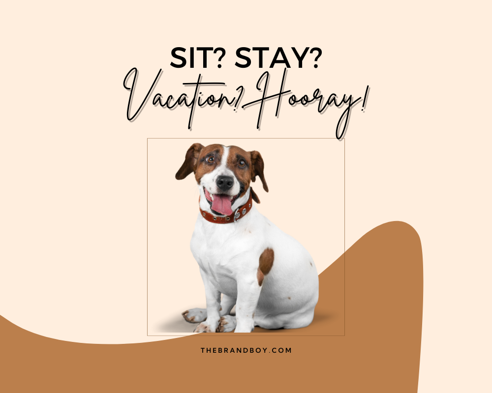 781 Catchy Dog Sitting Slogans And Sayings Generator Guide 781-catchy-dog-sitting-slogans-and-sayings-generator-guide