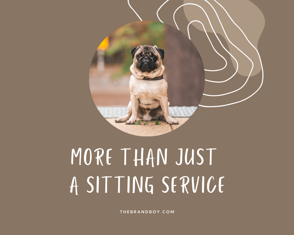 781-catchy-dog-sitting-slogans-and-sayings-generator-guide